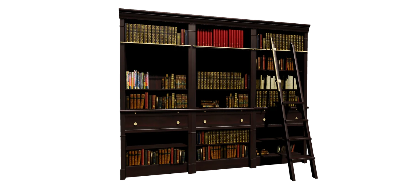A bookcase with books and a rolling ladder